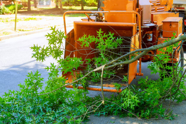 Best Landscape Design and Installation  in Duncan, SC