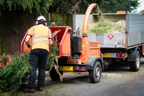 Best Leaf Removal  in Duncan, SC